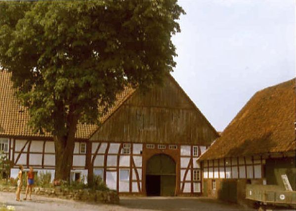 Ehem. Almena Nr. 7 (Kater) 
