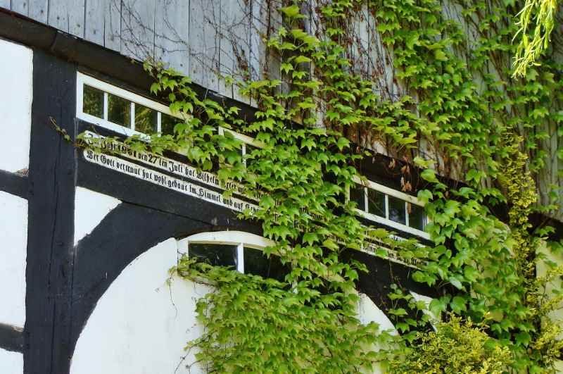 Pottenhausen Nr. 3 (Witte)