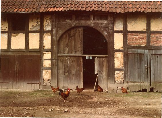 Mossenberg-Wöhren Nr. 31 Lindenstraße 41a